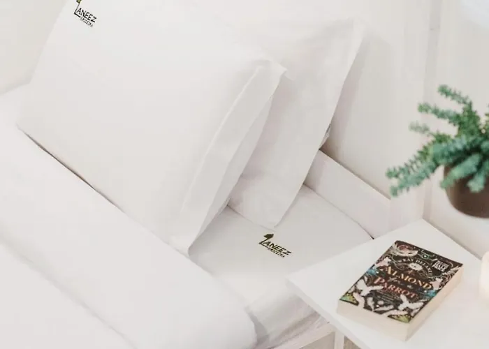 Auberge de jeunesse Laneez Surf House *