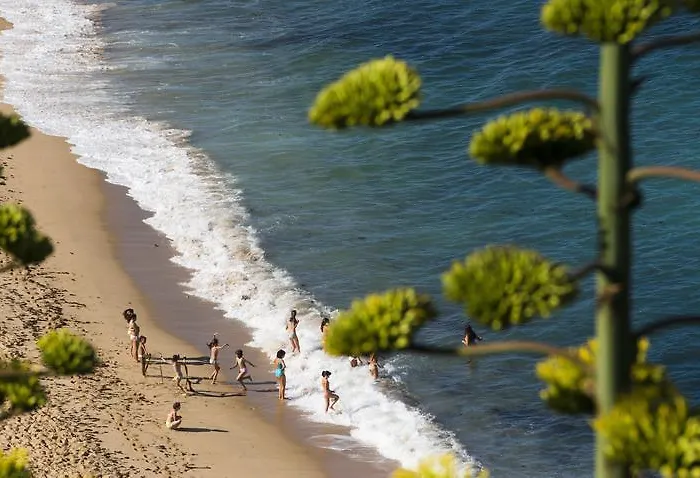 Auberge de jeunesse Laneez Surf House *