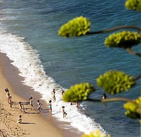 Laneez Surf House אכסניה