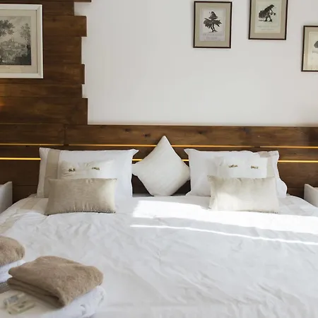 Hostel Laneez Surf House